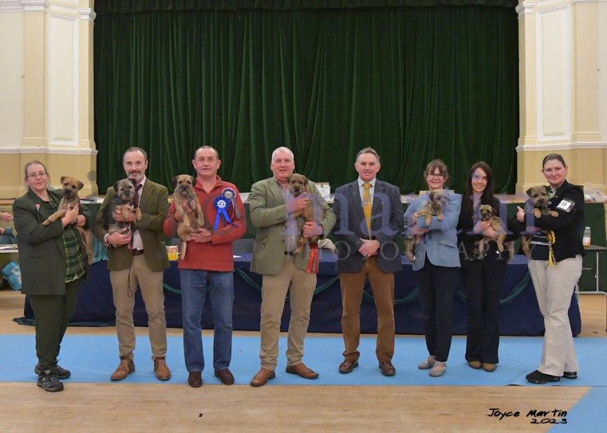 The 38th Scottish Border Terrier Club Championship Show