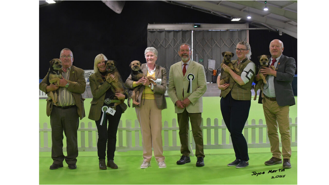 Joint Border Terrier Club's Championship Show Re-Scheduled to Sat 31st Aug 2024 at Stoneleigh