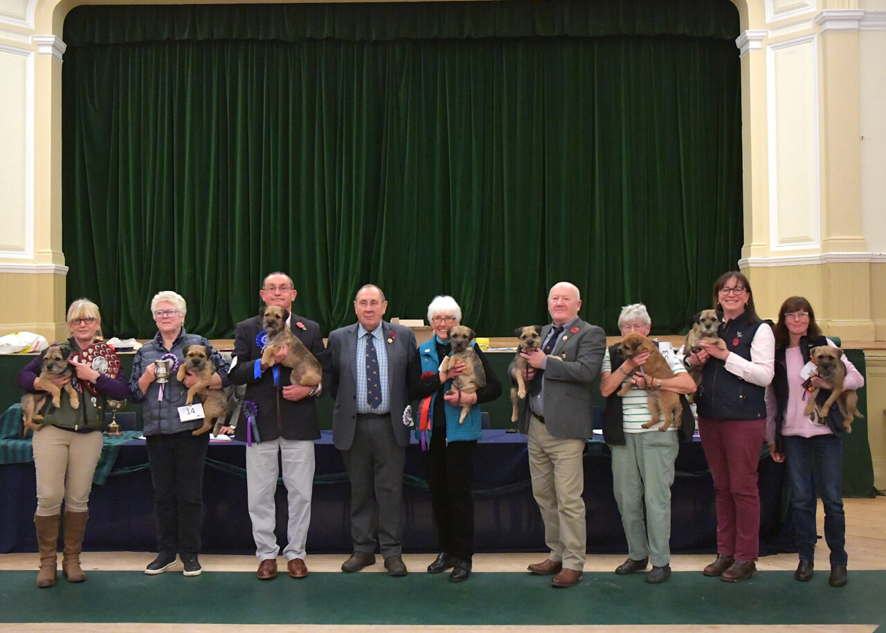 Sat 9th Nov 2024 - The Scottish Border Terrier Club Championship Show Results