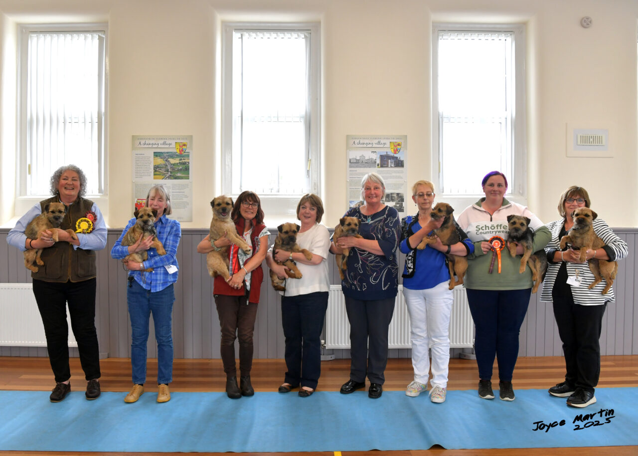 SBTC Open Show Winners with judge