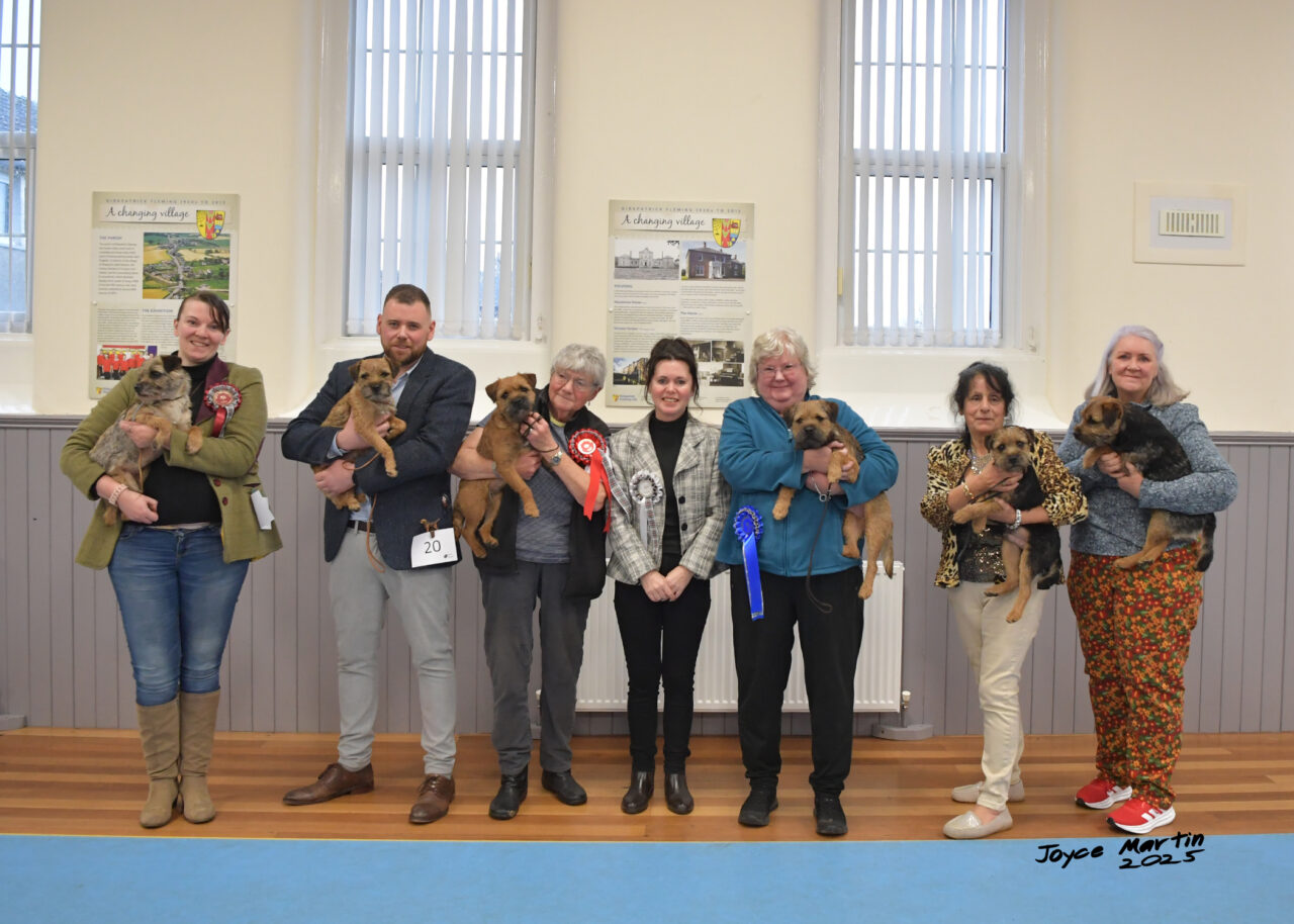 Sun 26th Jan 2025 - Scottish Border Terrier Club Members Limited Show